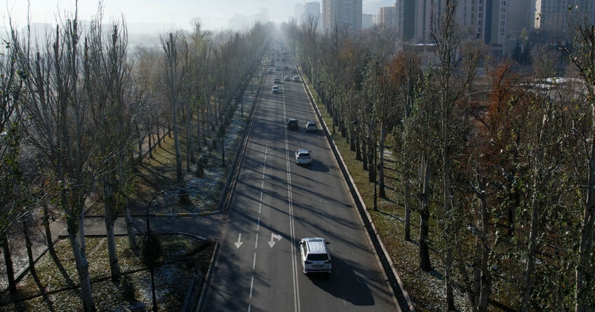 На&nbsp;проспекте Чингиза Айтматова в&nbsp;Бишкеке начали вырубать тополя
