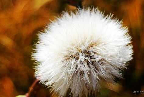 Озеро Кель-Суу и&nbsp;ноябрьский Бишкек. Фото и&nbsp;видео читателей 24.kg
