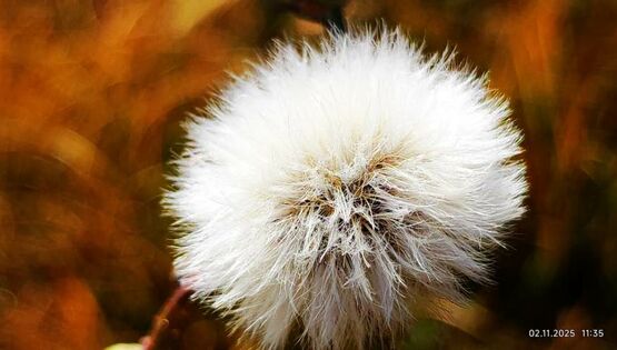 Озеро Кель-Суу и&nbsp;ноябрьский Бишкек. Фото и&nbsp;видео читателей 24.kg
