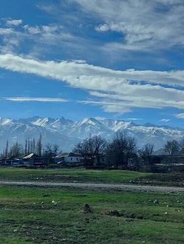 Асель Исаевой