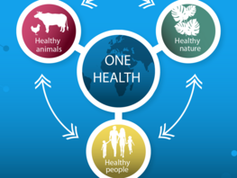 Over $30 million to strengthen pandemic preparedness and food security