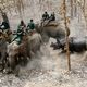 Фото Prakash Mathem/AFP. Носорог нападает на сотрудников национального парка в Непале, апрель 2017 года 