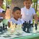 Фото 24.kg. Дети играют в шахматы