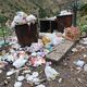 Фото читателя 24.kg. В Аламединском ущелье кучи мусора