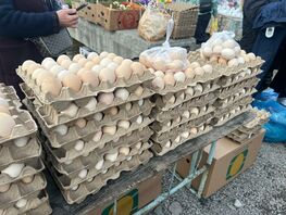 Сколько стоят яйца в&nbsp;Бишкеке: обзор цен на&nbsp;рынках и&nbsp;в&nbsp;магазинах
