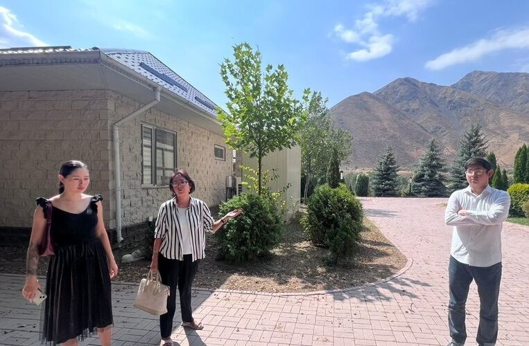 из интернета