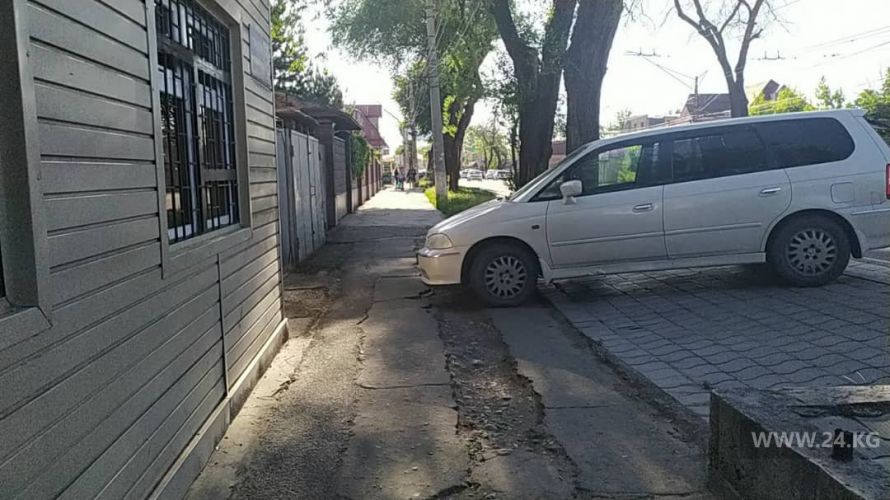 читателя 24.kg
