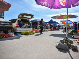 Traditional agricultural fair to be held in Bishkek