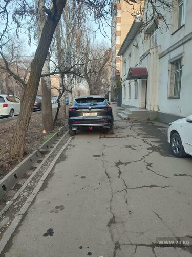 читателя 24.kg