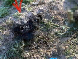 Во&nbsp;время рыбалки возле БЧК от&nbsp;удара током погиб мужчина
