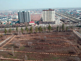 Асфальт положили и&nbsp;сняли: странные работы в&nbsp;Ботаническом саду Бишкека 