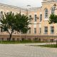 Фото читателя 24.kg. У здания Минкультуры о саженцах позаботились