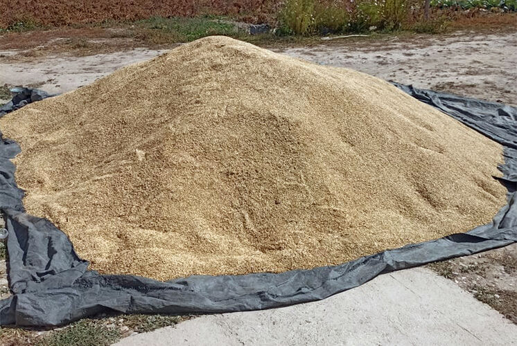 районной администрации