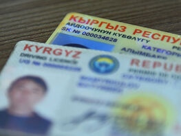 Бесплатная замена бессрочных водительских удостоверений: президент подписал указ
