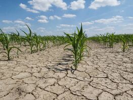 Столицы Центральной Азии могут исчезнуть под угрозой водного коллапса
