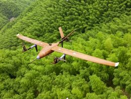 Китай создал первый в&nbsp;мире беспилотник из&nbsp;бамбука 