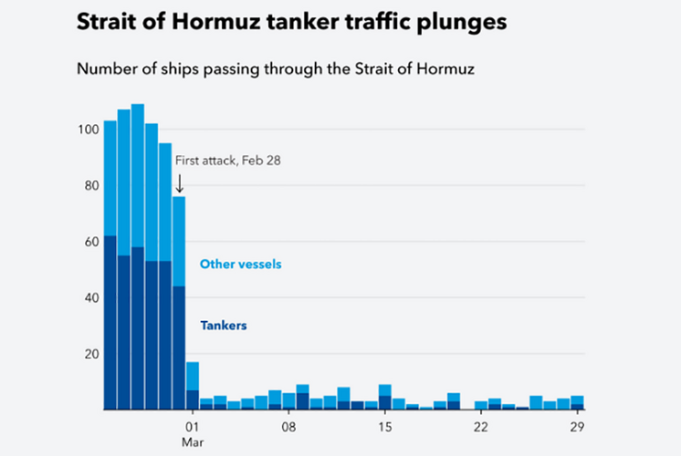 IMF PortWatch, Глобальная платформа ООН