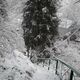 Фото Айсалкын Жанибековны. До и после снега. Каракол, «Ак-Суу»