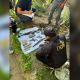 Фото ГКНБ. Тайник с оружием обнаружили рядом с аэропортом Оша