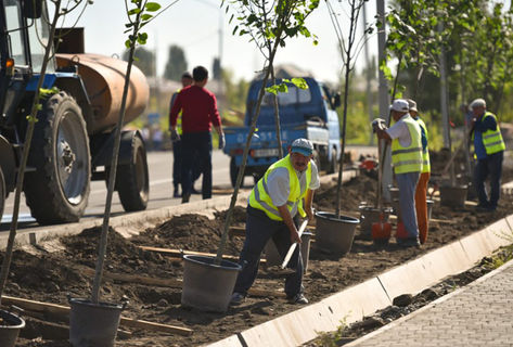 Здесь будет город-сад. Как Бишкеку будут возвращать славу зеленой столицы
