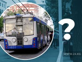 Нужны&nbsp;ли троллейбусы Бишкеку? Опрос&nbsp;24.kg
