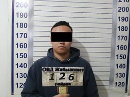 В&nbsp;Чуйской области задержан дроппер
