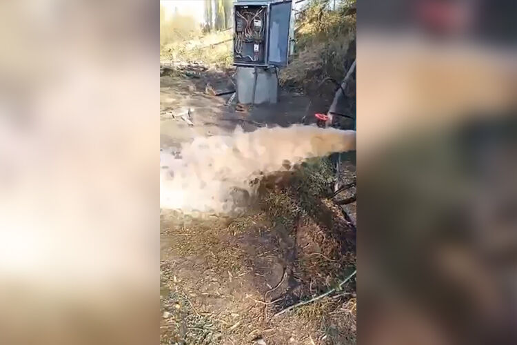 Минсельхоза