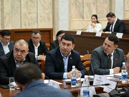 В&nbsp;Кыргызстане вводят &laquo;государственное задание&raquo; в&nbsp;сфере госзакупок
