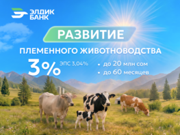 Племенное животноводство: кредит под 3&nbsp;процента в&nbsp;&laquo;Элдик Банке&raquo;
