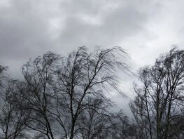 МЧС объявило штормовое предупреждение в&nbsp;Бишкеке и&nbsp;Чуйской долине. Будет ветер
