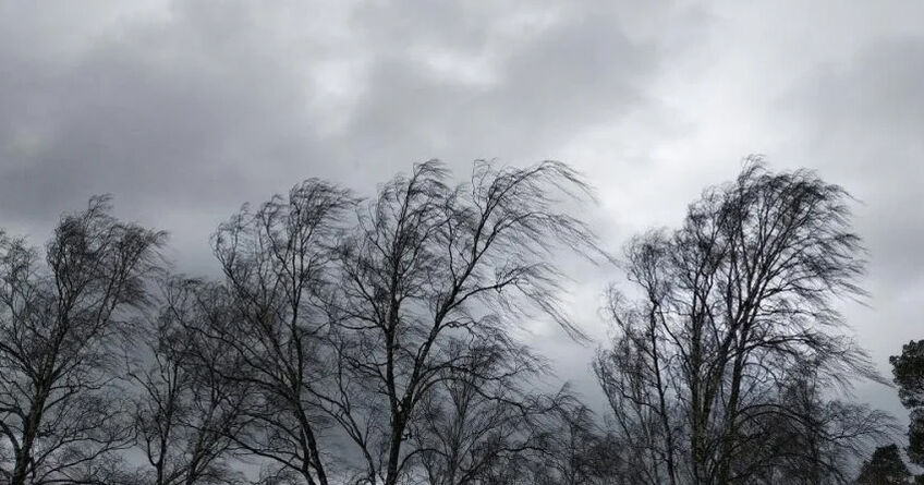 МЧС объявило штормовое предупреждение в&nbsp;Бишкеке и&nbsp;Чуйской долине. Будет ветер
