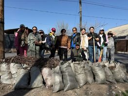 Экологи призывают не&nbsp;убирать опавшую листву с&nbsp;корней деревьев&nbsp;&mdash; нужный барьер
