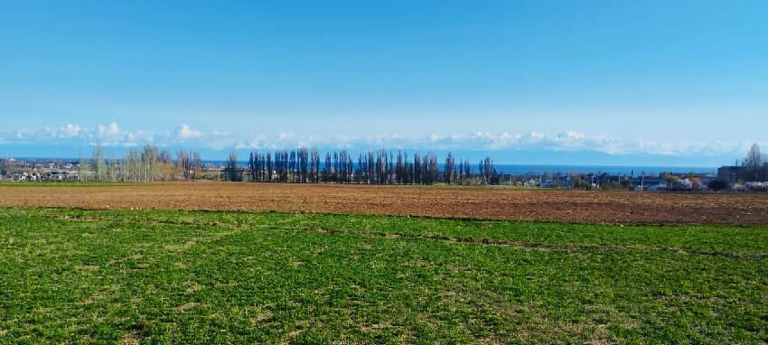 Сергея Ханова