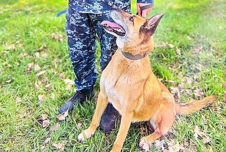 пресс-службы СБНОН