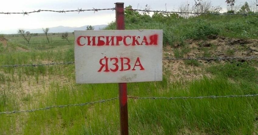 В&nbsp;Кыргызстане выявили более 500 очагов сибирской язвы
