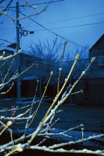 Амиры Айыповой