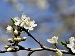 11-апрелге карата аба ырайы
