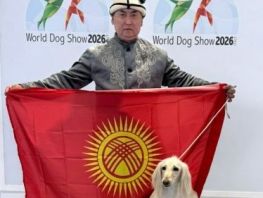 Дүйнө чемпионаты: Кыргыз тайгандары Италияда алтын медаль утту
