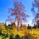 Фото Анары Джорабаевой. Осенний Иссык-Куль