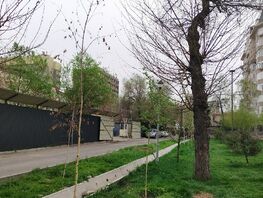 Часть прошлогодних саженцев погибли в&nbsp;бишкекском сквере имени Горького
