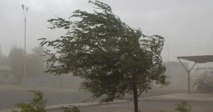 В&nbsp;Бишкеке и&nbsp;Чуйской области в&nbsp;ближайшие часы ожидается сильный ветер
