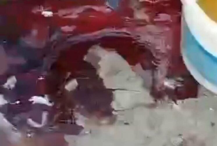 из соцсетей