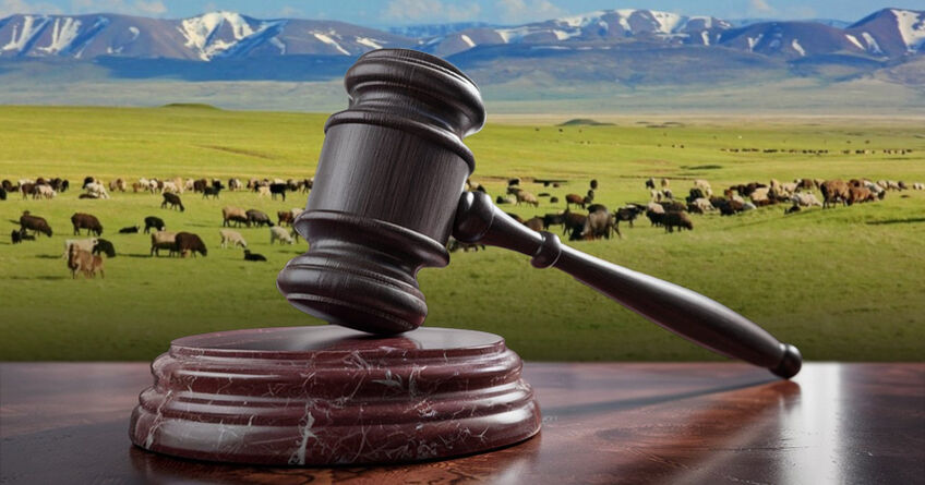 Застройку сельхозземель в&nbsp;Кыргызстане предлагают ограничить новым законом
