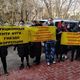 Фото 24.kg. Арендаторы торгового центра «Караван» митингуют у Дома правительства