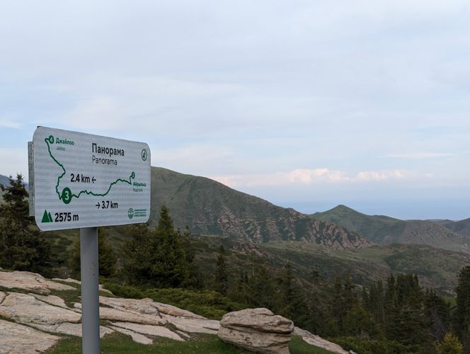 Фонда поддержки развития туризма