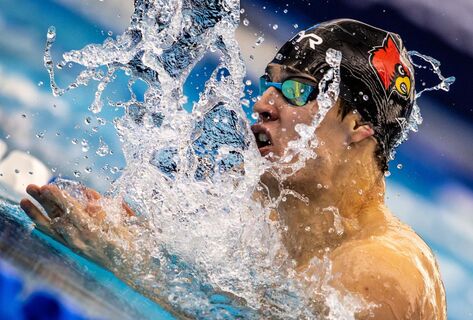 Кыргызстанец Денис Петрашов завоевал серебро на&nbsp;этапе Pro Swim Series в&nbsp;США
