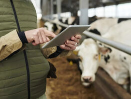 Agricultural census begins in Kyrgyzstan