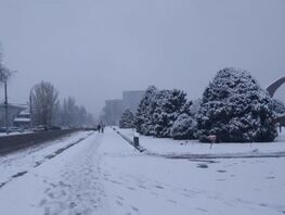 Потеплеет&nbsp;ли в&nbsp;Бишкеке, рассказали синоптики. Прогноз погоды на&nbsp;22-25 января
