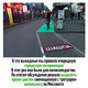 Фото Peshcom. Члены движения покрасили в зеленый цвет велополосу 