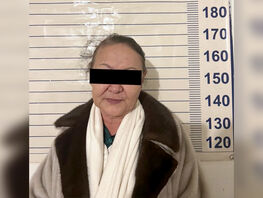 В&nbsp;Чуйской области задержана подозреваемая в&nbsp;самовольном захвате чужого участка
